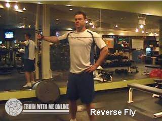 Reverse Fly with cable and weights