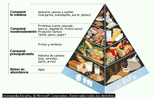 [piramide+de+la+alimentaciÃ³n.gif]