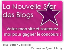 [La+Nouvelle+Star+des+blogs.jpg]