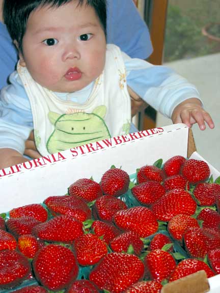 [hikaru_strawberries_06.jpg]