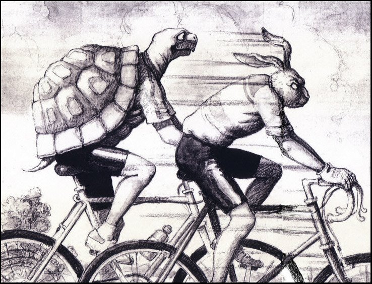 [Tortoise+&+Hare.jpg]