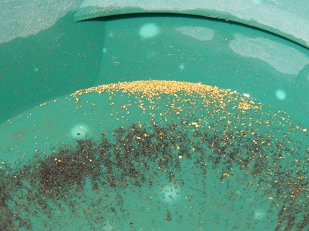 [MQS+gold+panning+concentrates+002.jpg]