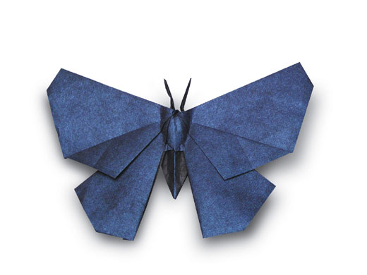 [origami-butterfly.jpg]