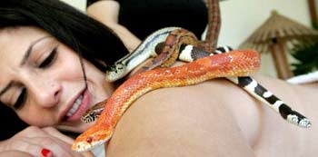 [snake-therapy-2.jpg]