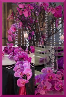 [Fushia+Orchid+Wedding+Decor+by+Lindsey+Marurath+Events.jpg]