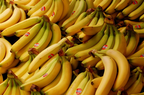 [bananas.JPG]