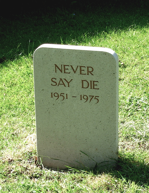 [never+say+die.jpg]