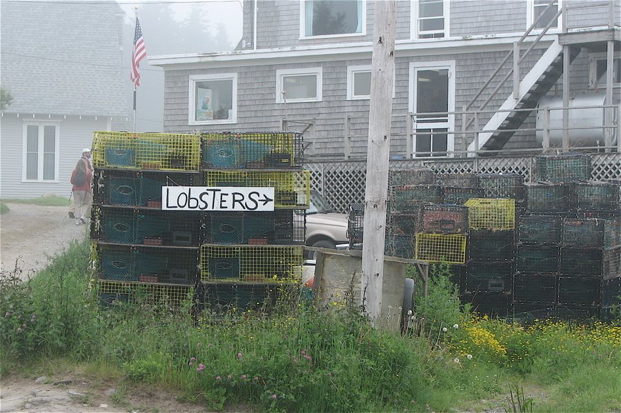 [lobster+sign.JPG]