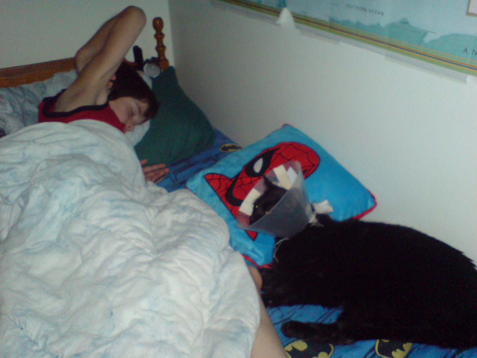 [Andre+sleeping+with+Kurt+.jpg]