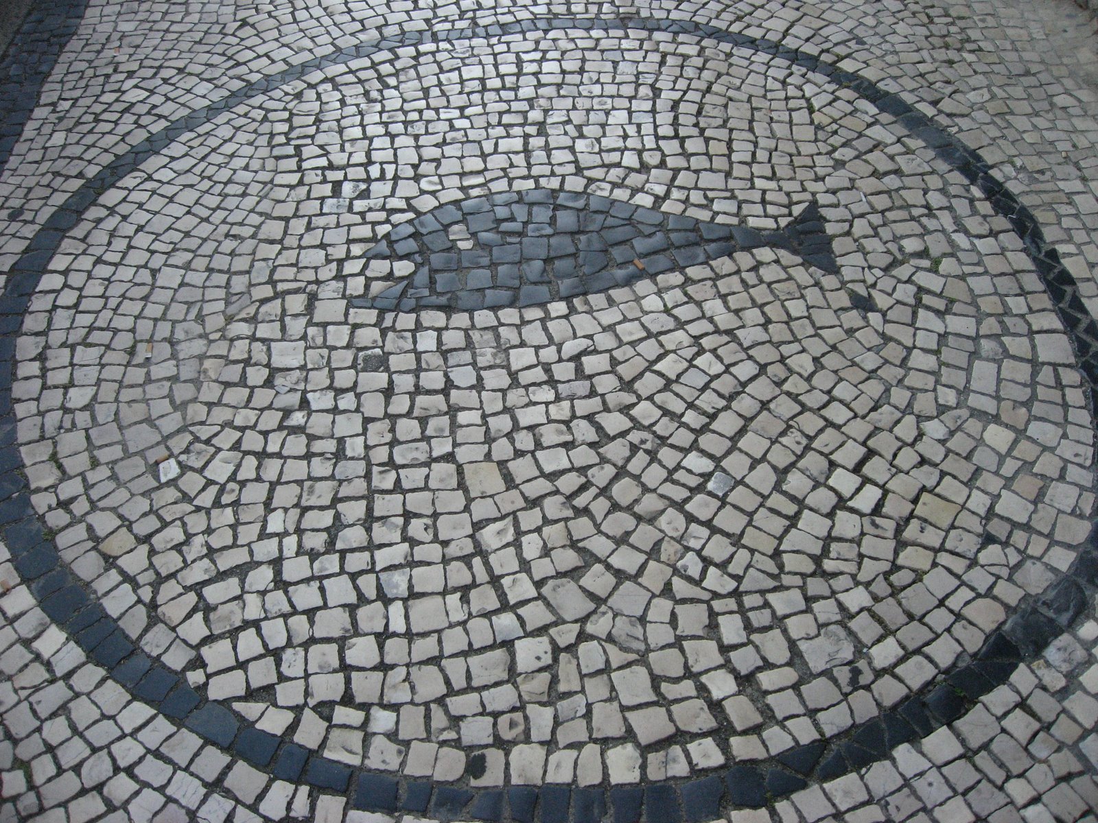 [2008-06-30+(mais)+Calçada+Portuguesa+em+Aveiro-28+Rua+de+Viana+de+Castelo+(21).jpg]