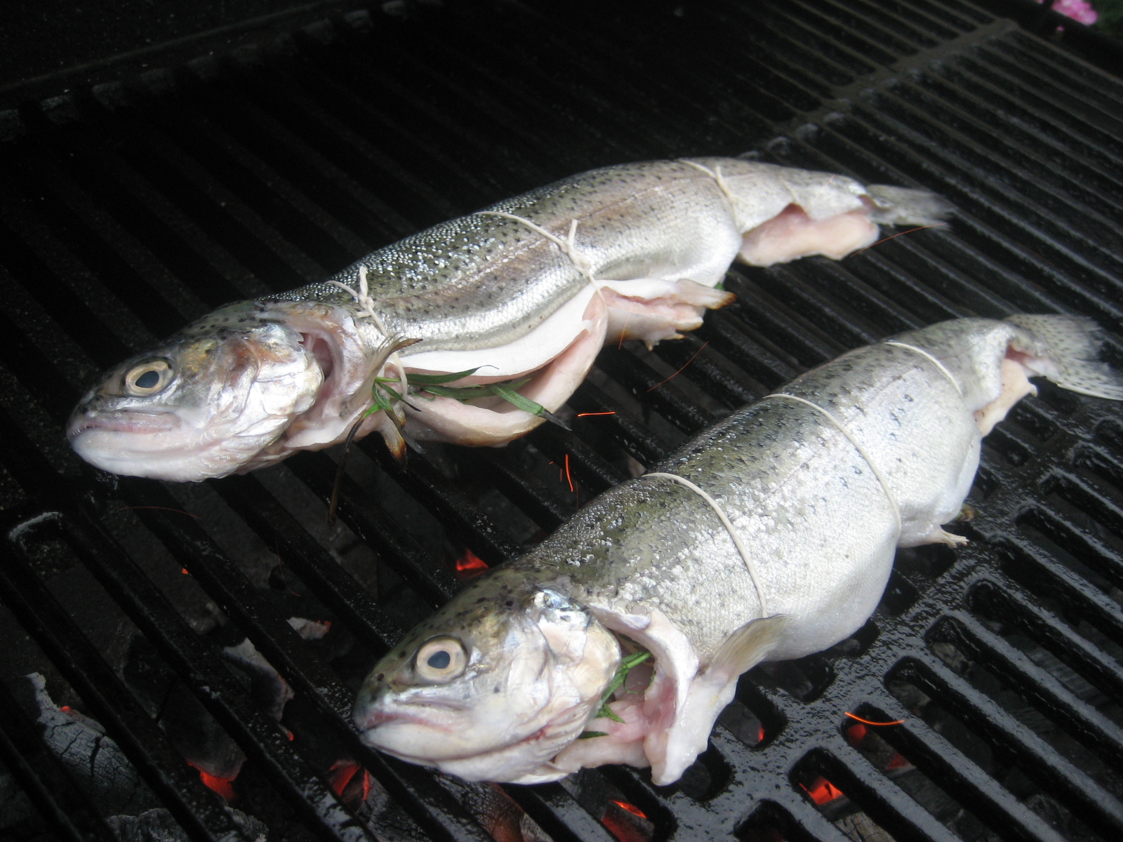 [uncooked+trout.JPG]
