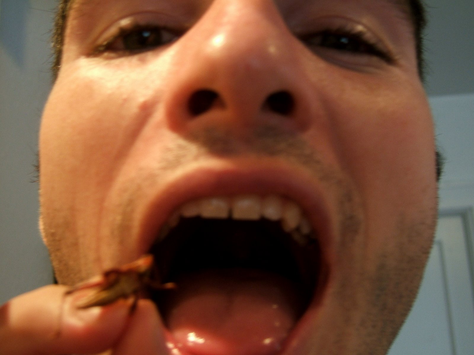 [Carl+eating+grasshopper.jpg]