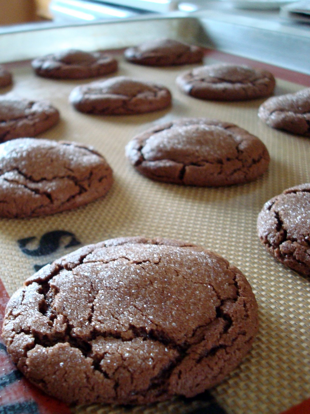 [blog+baked+cookies+on+sheet.jpg]