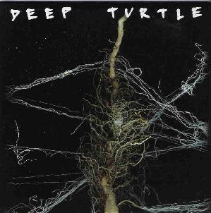 [deep+turtle.jpg]