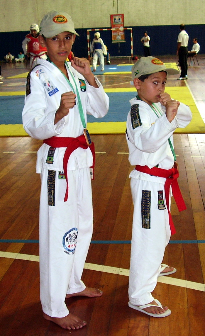 [Paulo+Victor+e+Pedro+Henrique+-+Taekwondo.JPG]