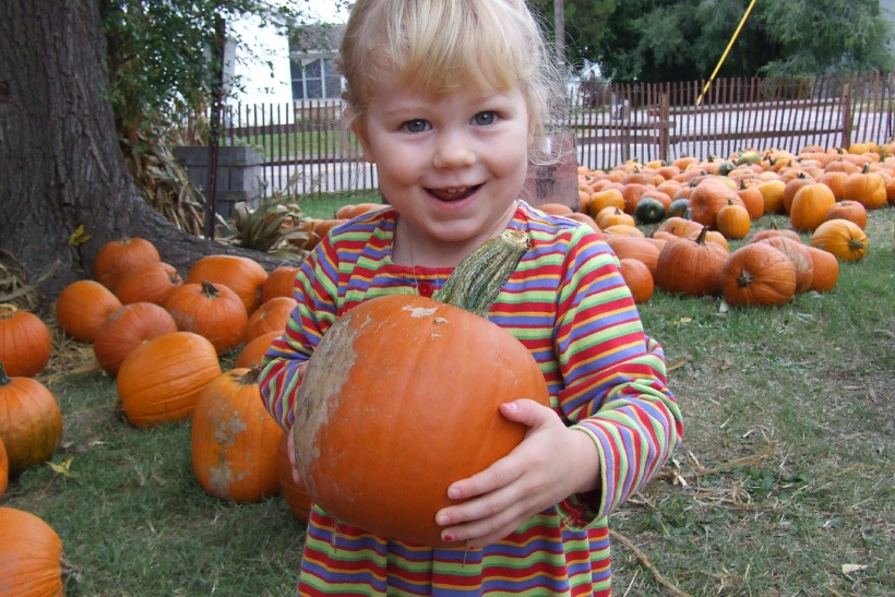 [pumpkin+girl.jpg]