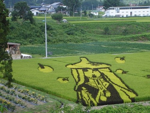 [rice-field-art-006.jpg]