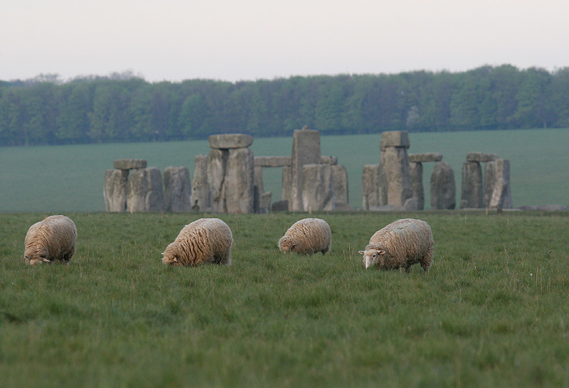 [owce+pod+Stonehenge.jpg]
