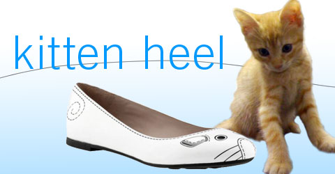 [kitten+marc+shoe.jpg]