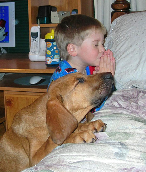[dog_praying_with_a_kid.jpg]