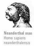 [Neanderthal_man.gif]