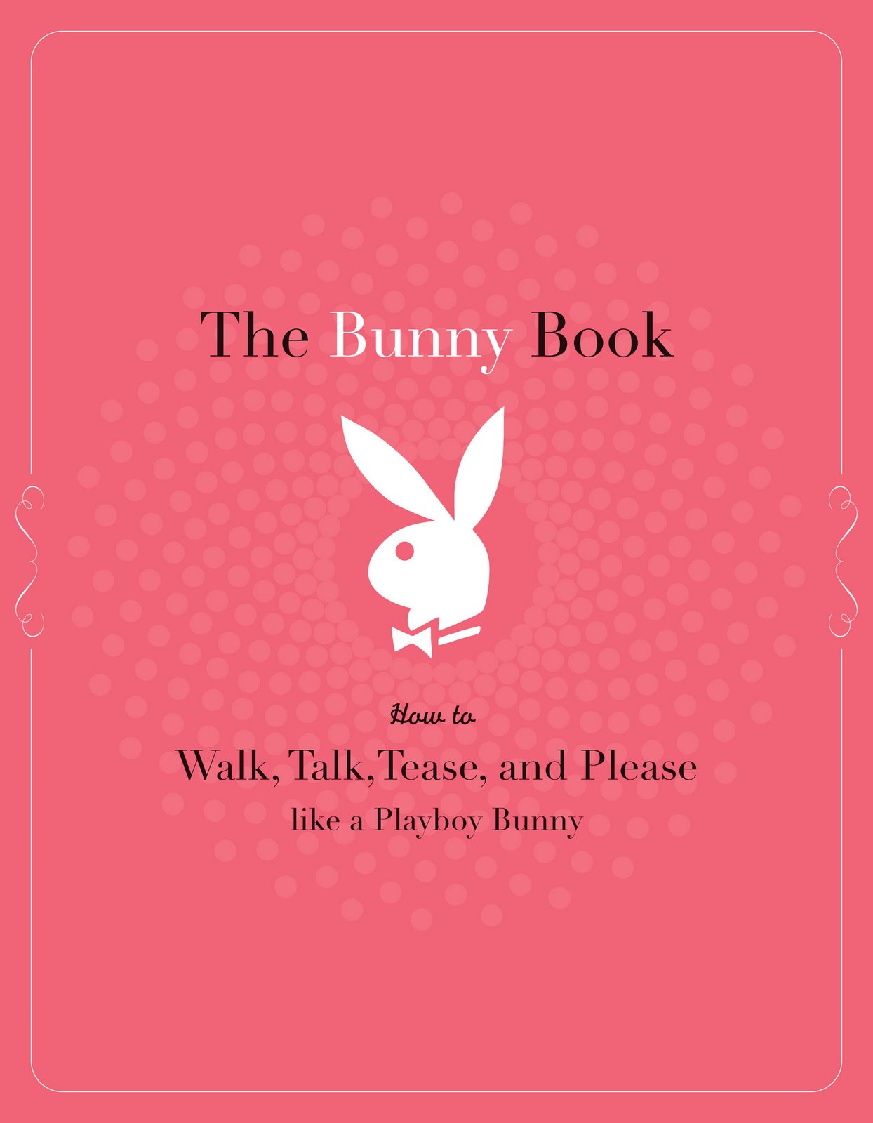 [Bunny+Book.jpg]