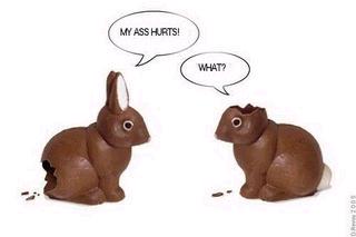[bunnies.jpg]