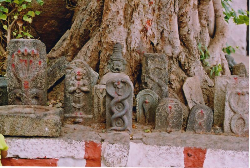 [800px-Vijayanagar_snakestone.jpg]