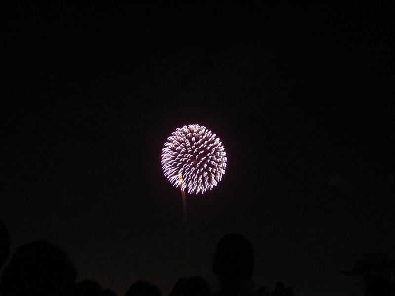 [Seoul+Fireworks+09+(Medium).JPG]