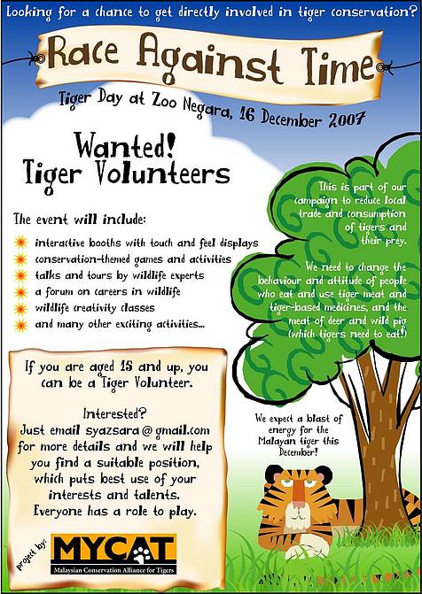 [tiger_volunteers_10840.jpg]