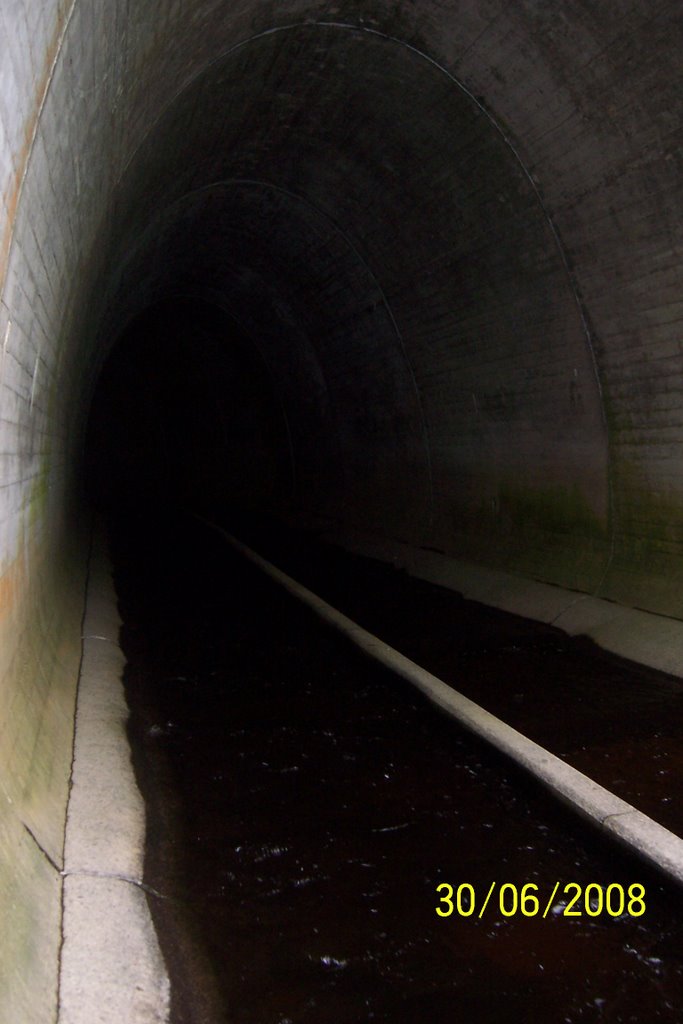[tunnel+012.JPG]