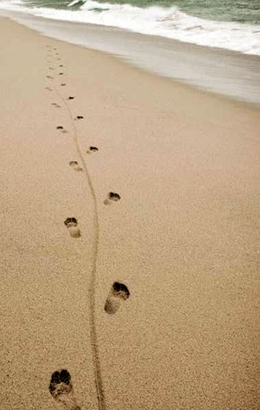 [footprints&more.jpg]