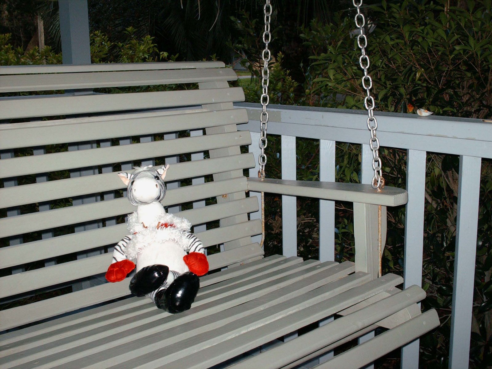 [Zippy+relaxes+on+the+porch+swing-1.jpg]