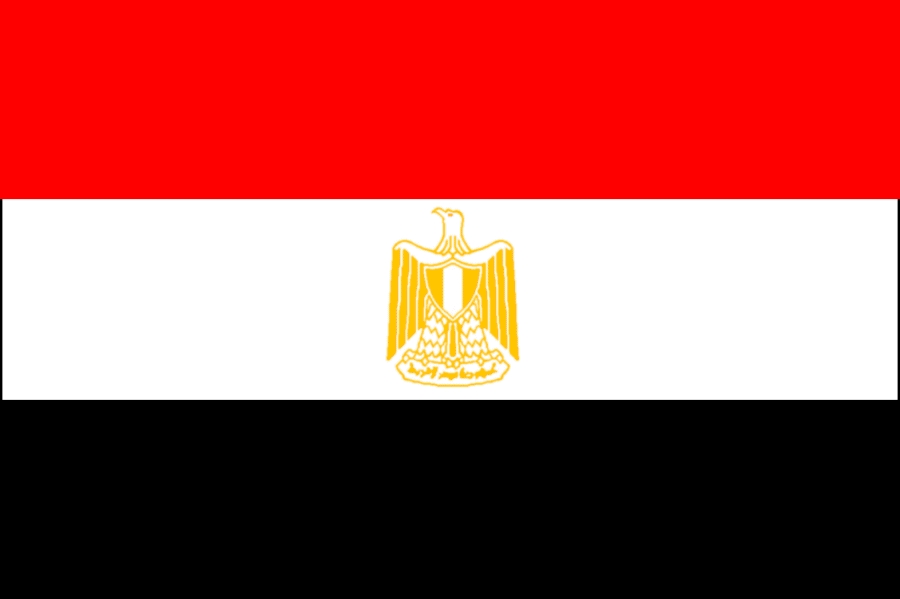 [egypt-flag.JPG]