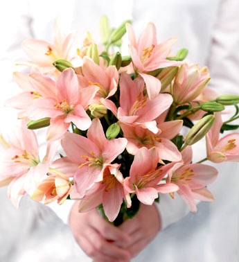 [pink+flowers.bmp]
