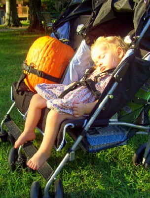 [pumpkin-stroller.jpg]