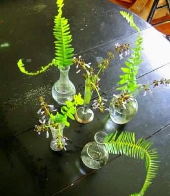 [ferns-in-vases-on-table.jpg]