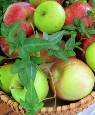 [apples-and-ivy-centerpiece-for-buffet-table.jpg]