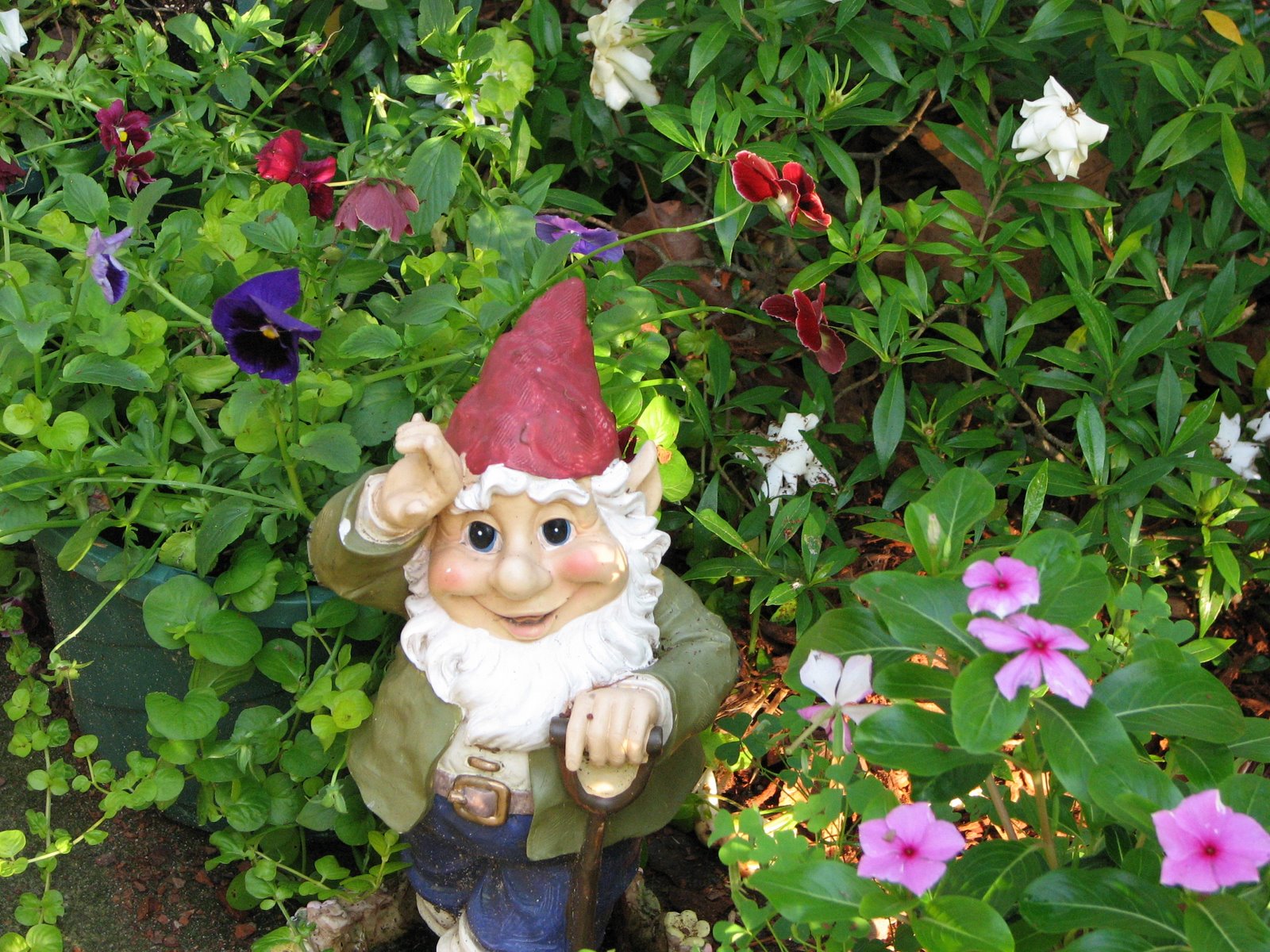 [Bilbo+the+Gnome+by+the+Kitchen+Door_20+June+2007_A.JPG]
