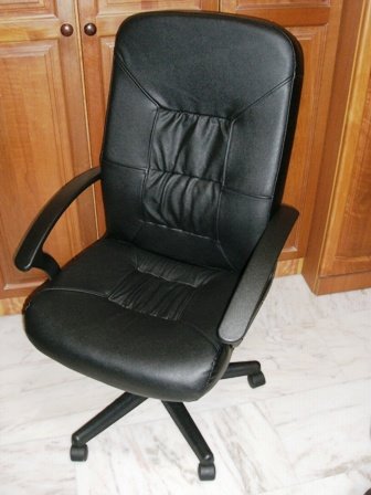 [leather+chair.JPG]