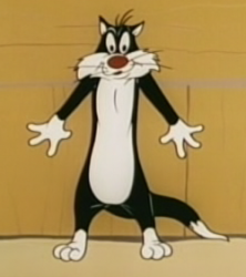 [Sylvester.png]