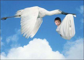 [china-baby-stork.jpg]