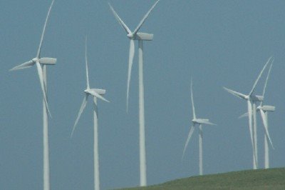 [wind+turbines.jpg]