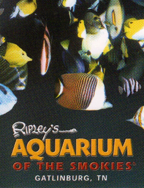 [pic+of+aquarium.jpg]