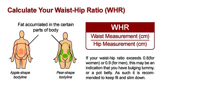 [Calculate+Your+Waist-Hip+Ratio+(WHR).jpg]