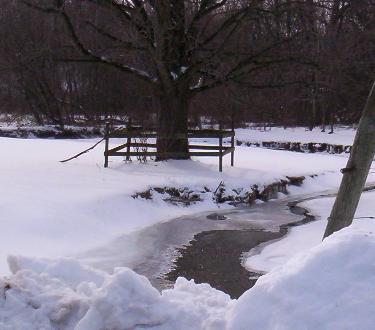 [snowy+creek.JPG]