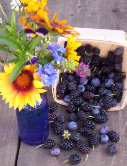 [berries+and+bouquet.JPG]