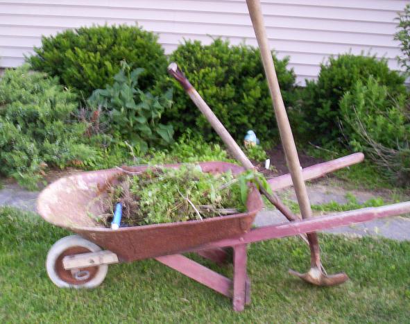 [one+dollar+wheelbarrow.JPG]