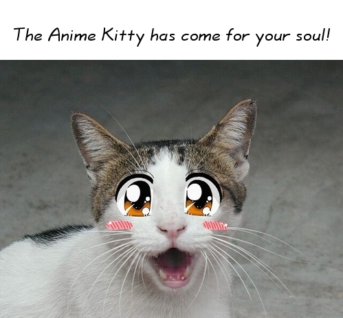 [anime_kitty.jpg]