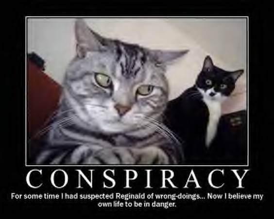 [Conspiracy++2+cats.jpg]
